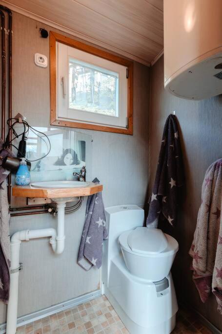 Tinyhouse Auf Dem Sonnenhang Osterode am Harz المظهر الخارجي الصورة